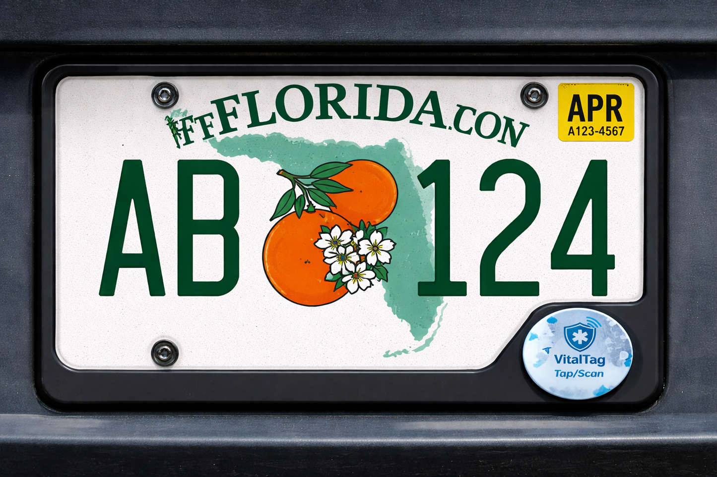 VitalTag™ Emergency License Plate Sticker